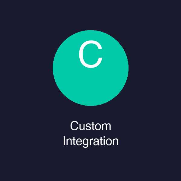 Custom Integration Development